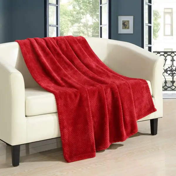 (Store Closing Sale) Ultra warm plush blanket for home