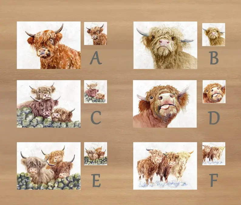 Highland cows, Placemat and Coaster sets, featuring artwork by Jane Bannon